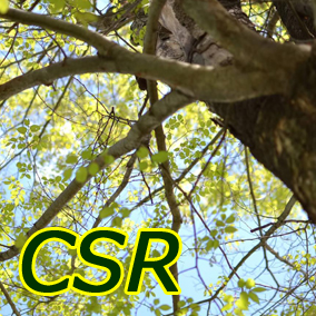 CSR