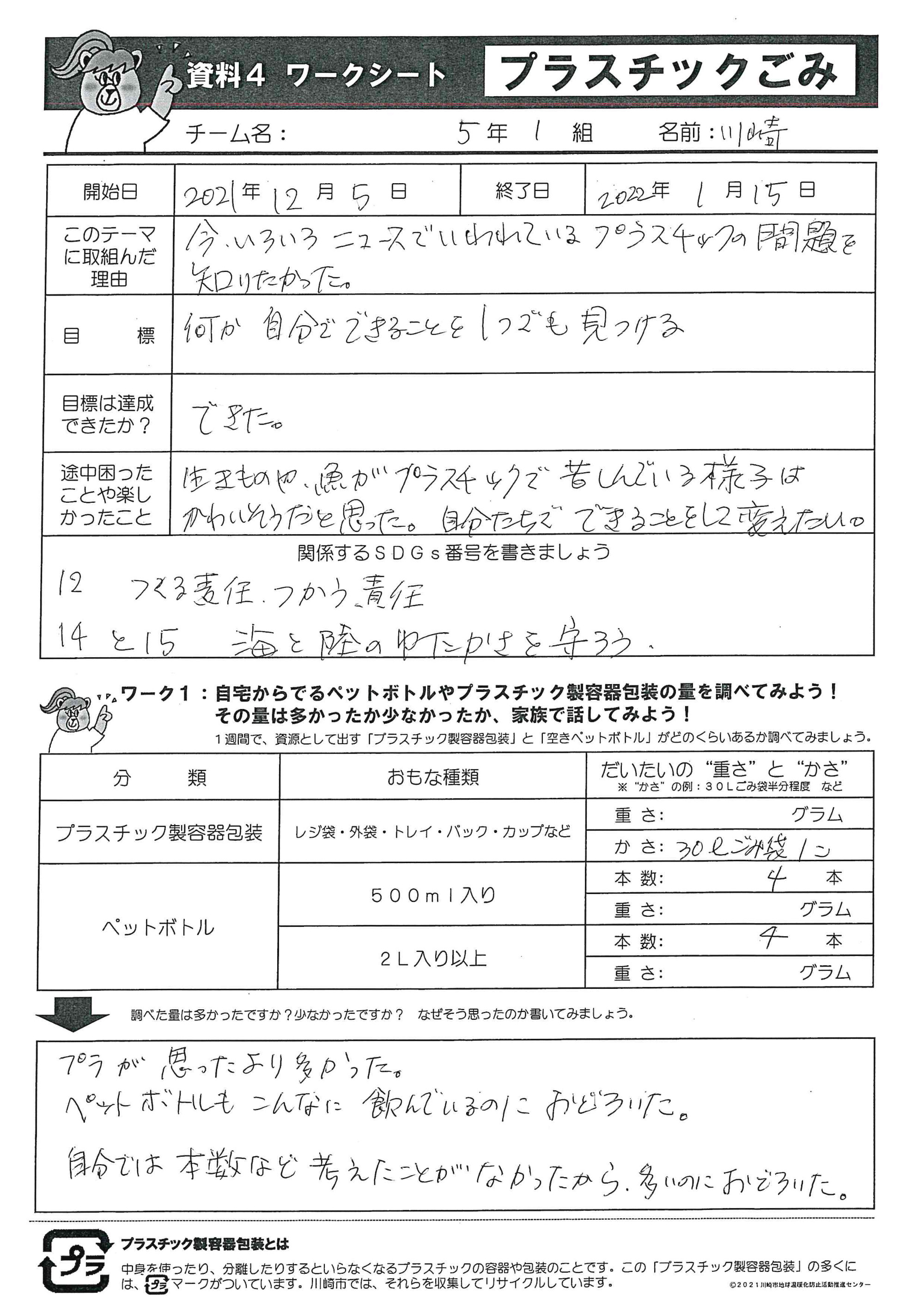 プラスチックごみ(1)