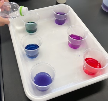 色水実験