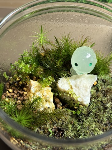 コケテラリウムを作ろう2